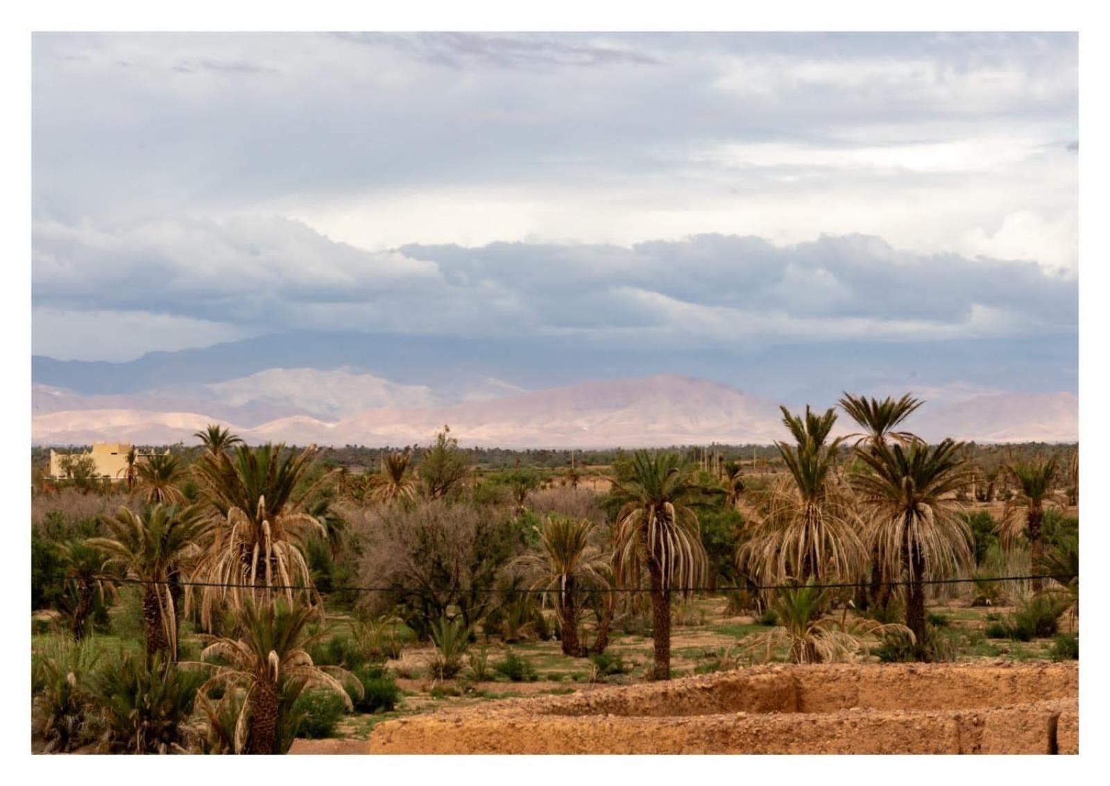 Auberge Famille Benmoro Bed & Breakfast Skoura Exterior photo